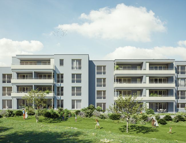 Panoramablick-Ballwil-D_02.jpg